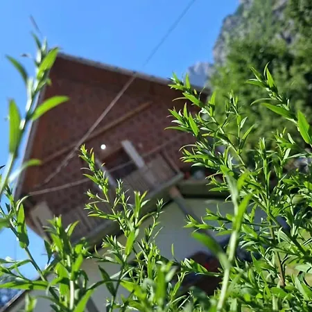 Ardi Selimaj Pensjonat Valbone